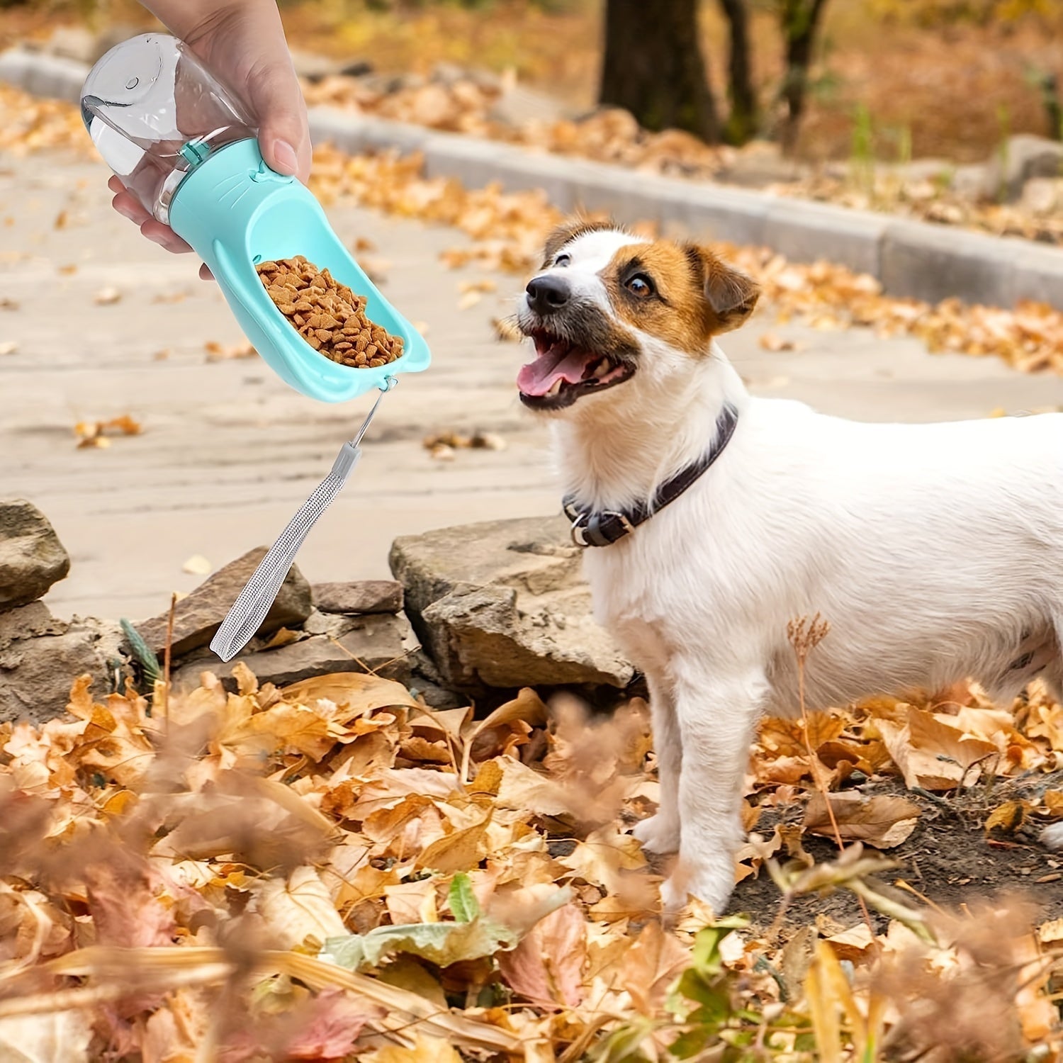 Leak Proof Portable Pet Water Bottle With Food Container
