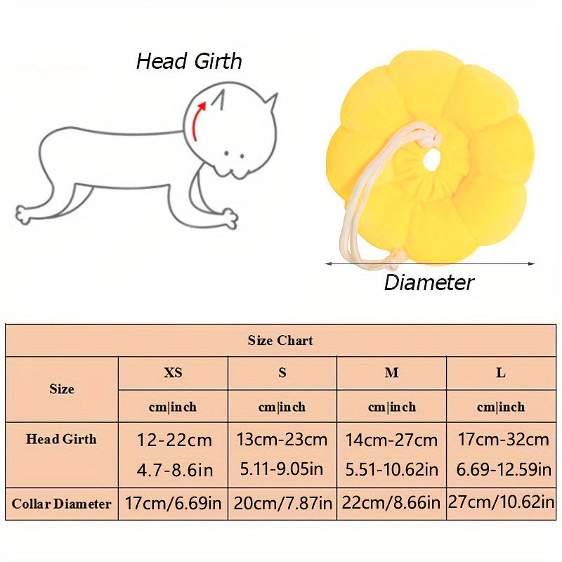 Cat and small dog Recovery Collar