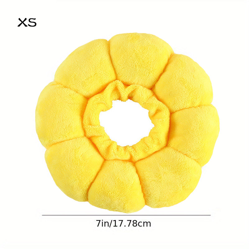 Cat and small dog Recovery Collar