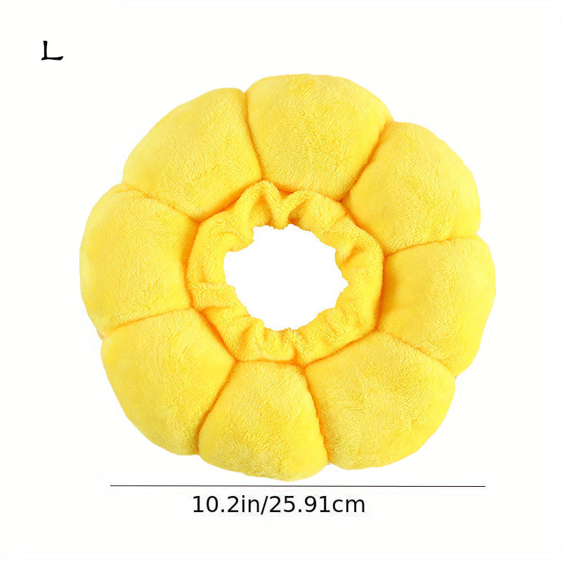 Cat and small dog Recovery Collar