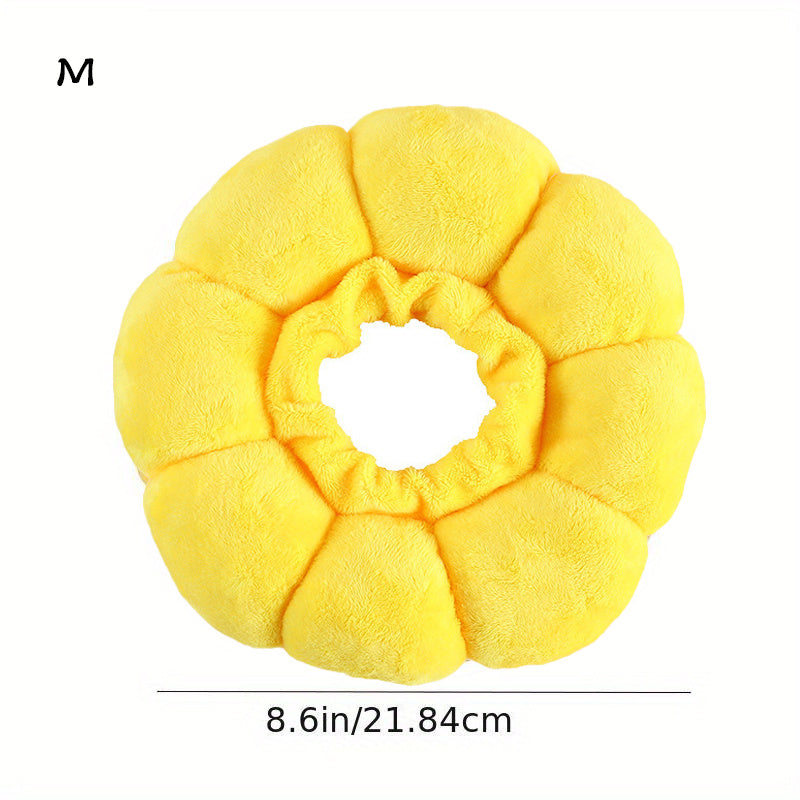 Cat and small dog Recovery Collar