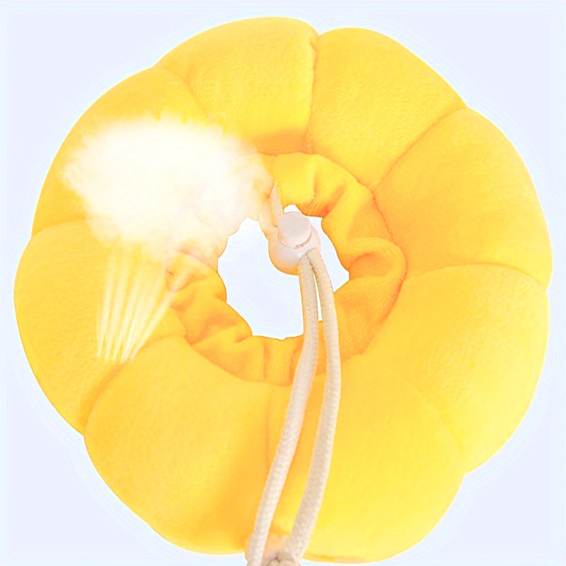 Cat and small dog Recovery Collar