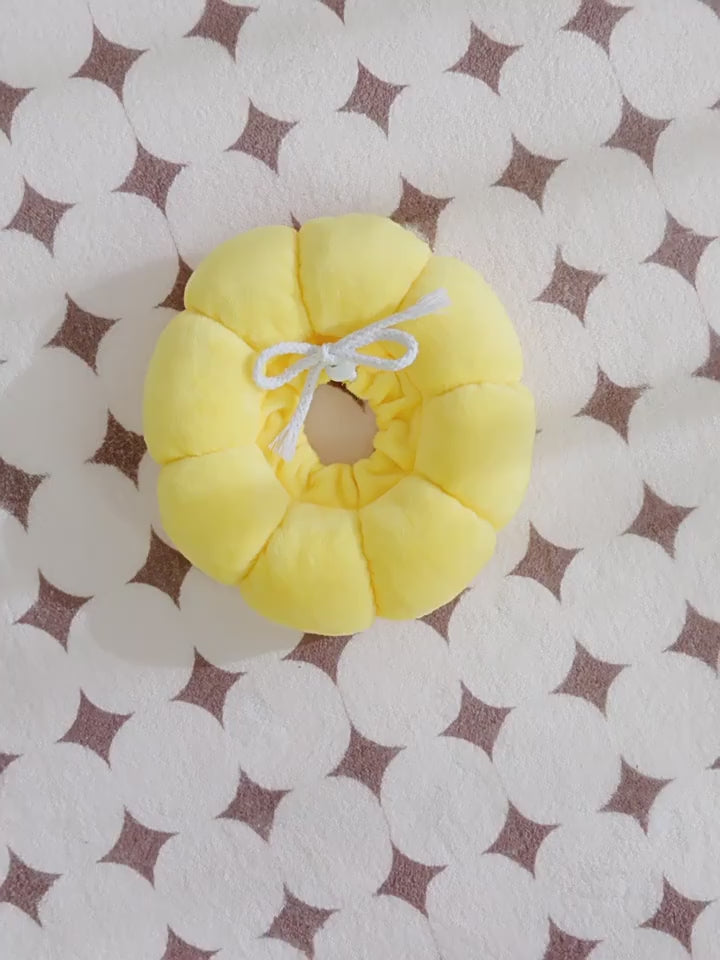 Cat and small dog Recovery Collar